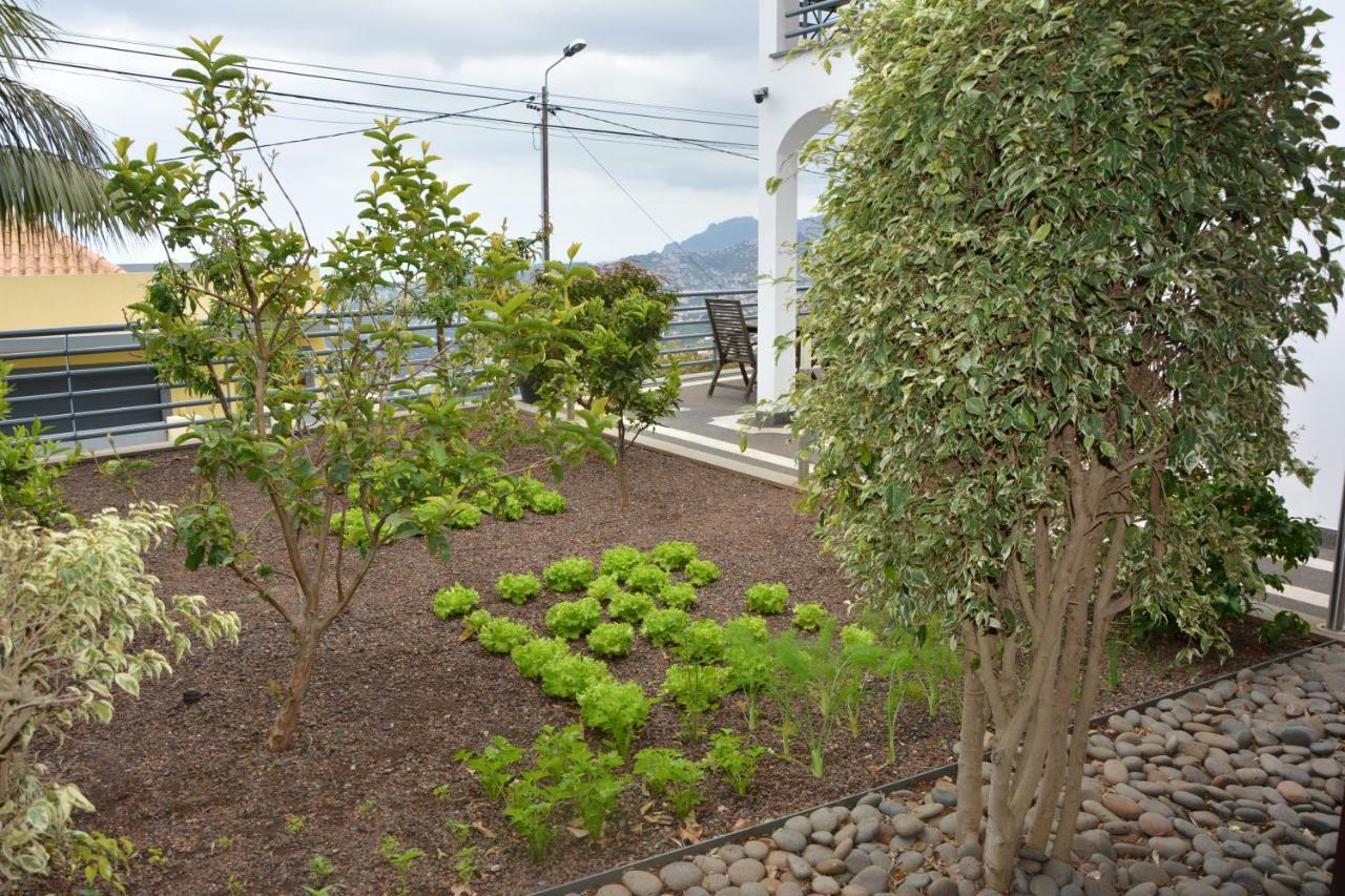 Willa Sea And Sun 4 You - Choupana House Funchal  Zewnętrze zdjęcie